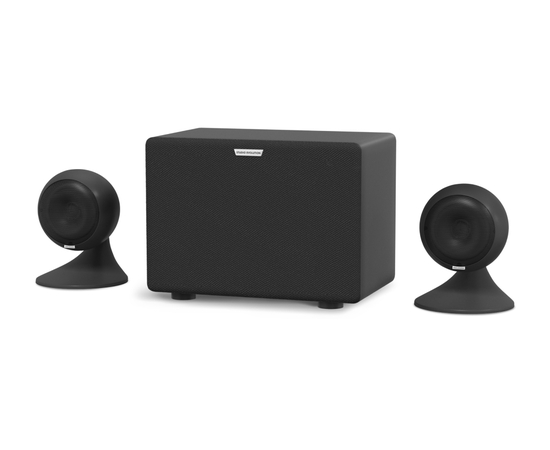 Аудіосистема для караоке Evolution EvoSound Sphere 2.1 (black) - 147506 за 40900 грн. | 4Club