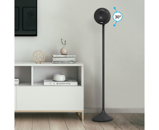 Аудіосистема для караоке Evolution EvoSound Sphere 2.1 (black)