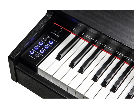Цифровое пианино Kurzweil M70 SR