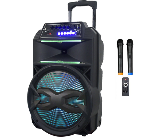 Портативная акустическая система BIG 240BAT USB/MP3/FM/BT/TWS + 2pcs VHF mic