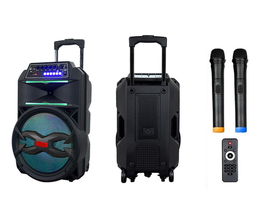 Портативная акустическая система BIG 240BAT USB/MP3/FM/BT/TWS + 2pcs VHF mic