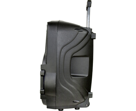 Портативная акустическая система BIG 250BAT USB/MP3/FM/BT/TWS + 2pcs VHF mic