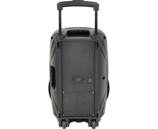 Портативная акустическая система BIG 250BAT USB/MP3/FM/BT/TWS + 2pcs VHF mic