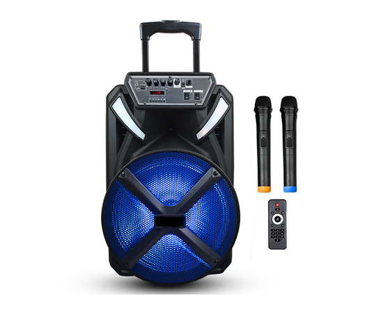 Портативная акустическая система BIG 300BAT USB/MP3/FM/BT/TWS + 2pcs VHF mic - 147753 за 0 грн. | 4Club