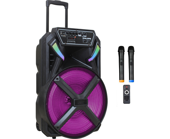 Портативная акустическая система BIG 300BAT USB/MP3/FM/BT/TWS + 2pcs VHF mic