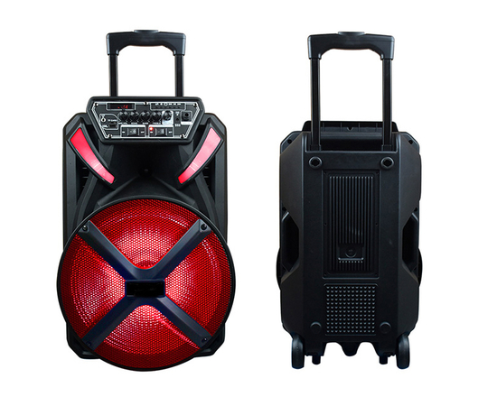 Портативная акустическая система BIG 300BAT USB/MP3/FM/BT/TWS + 2pcs VHF mic