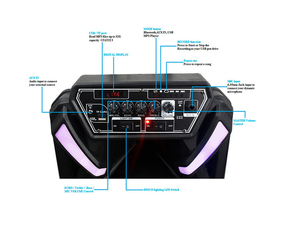 Портативная акустическая система BIG 300BAT USB/MP3/FM/BT/TWS + 2pcs VHF mic
