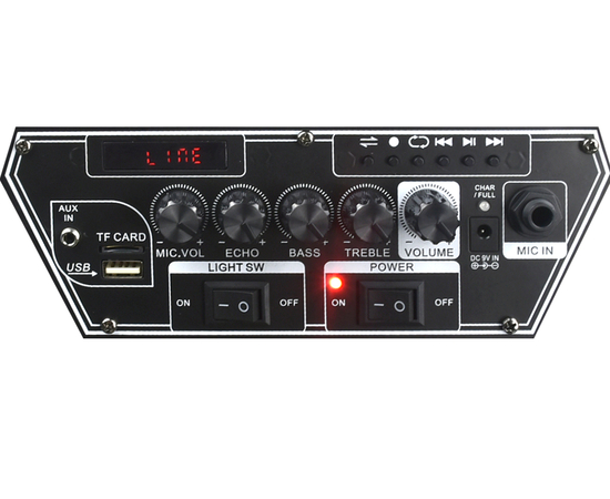 Портативная акустическая система BIG 300BAT USB/MP3/FM/BT/TWS + 2pcs VHF mic