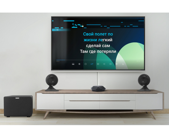 Караоке-комплект Evolution EvoSound Sphere + X-STAR KARAOKE BOX