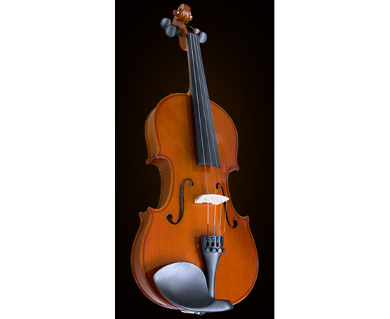 Скрипка Valencia V160 1/2