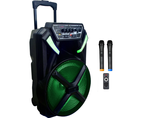 Портативная акустическая система BIG 300BAT USB/MP3/FM/BT/TWS + 2pcs VHF mic