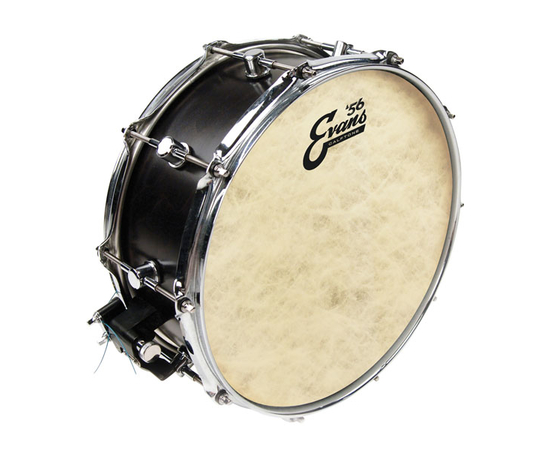 Рабочий пластик EVANS TT14C7 14" CALFTONE TOM