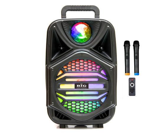 Портативная акустическая система BIG 110 MAGIC BALL USB/MP3/FM/BT/TWS + 2pcs VHF mic - 148112 за 0 грн. | 4Club