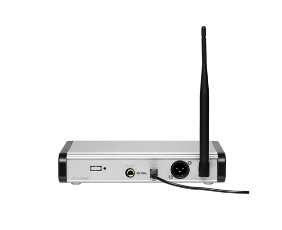 Радиосистема DV audio BGX-124 с гарнитурой