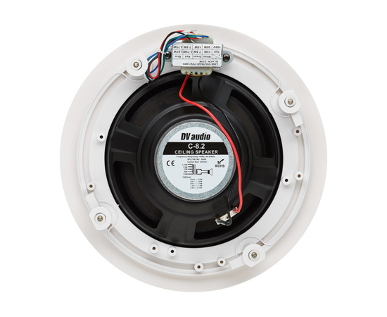 Потолочная АС DV audio C-8.2