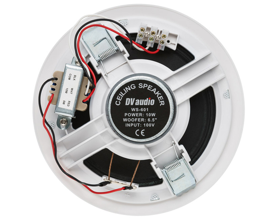 Потолочный громкоговоритель DV audio WS-601