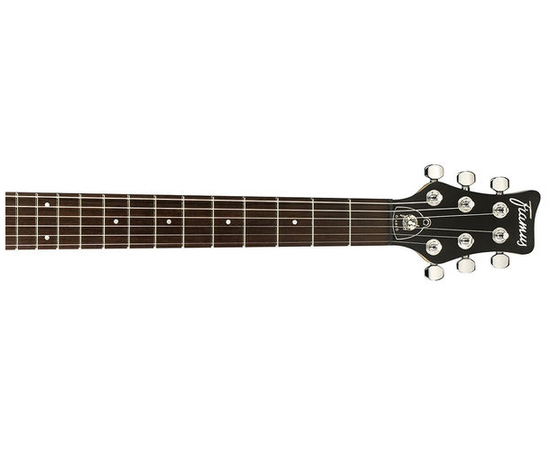 Электрогитара FRAMUS DIABLO (Nirvana Black Oil Finish)