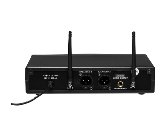 Радиосистема DV audio MGX-24B с гарнитурами