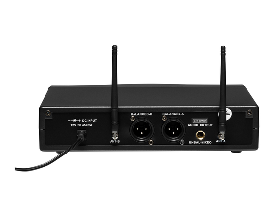 Радиосистема DV audio MGX-24H