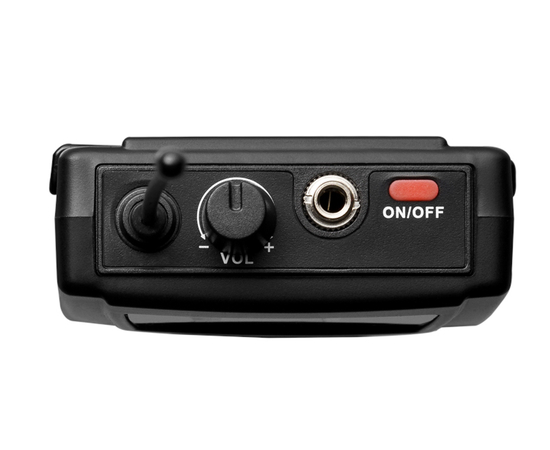 Радиосистема DV audio MGX-44B c гарнитурами