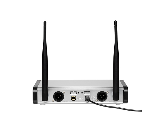 Радиосистема DV audio PGX-224 Dual