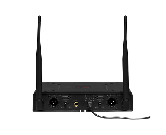 Радиосистема DV audio PGX-24 Dual