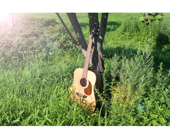 Акустическая гитара CORT EARTH 70 (OP)