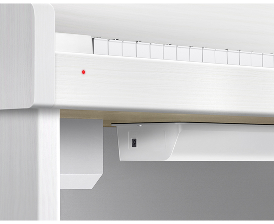 Цифровое пианино CASIO GP-310WEC7
