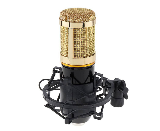 Микрофонный комплект FZONE BM-800 KIT