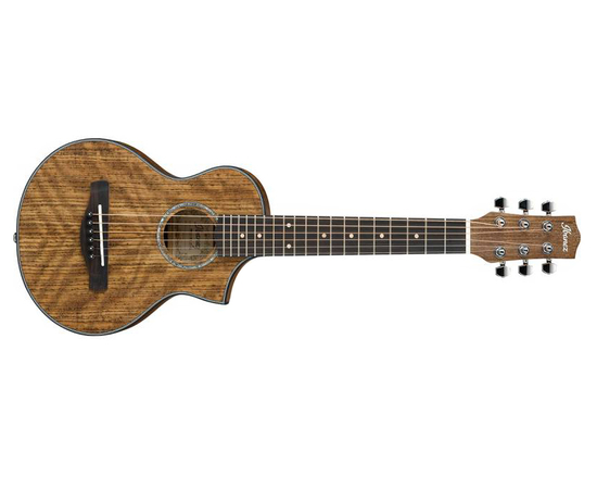 Акустическая гитара IBANEZ EWP14WB OPN - 148683 за 0 грн. | 4Club
