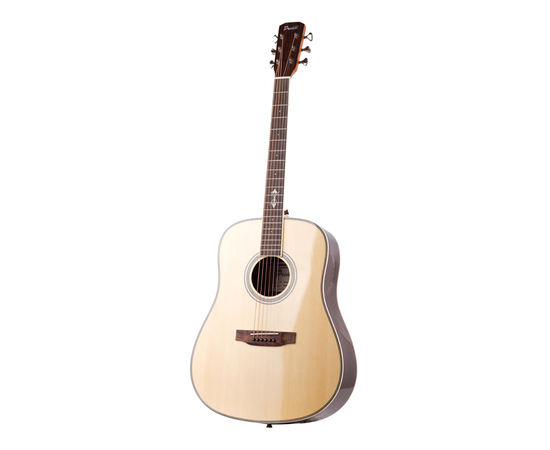 Акустическая гитара Prima DSAG205 Acoustic Guitar