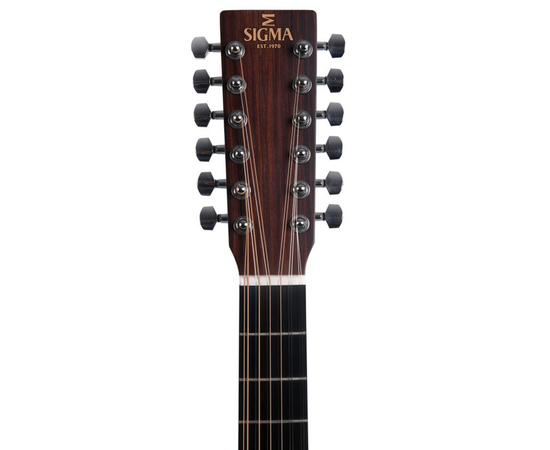 12-струнная акустическая гитара SIGMA DM12-1