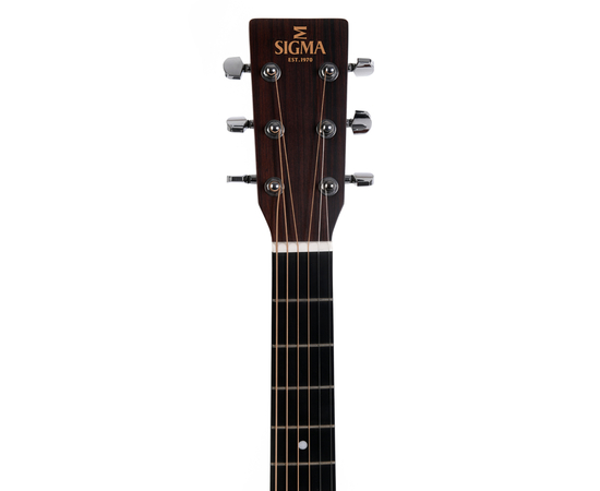 Акустическая гитара Sigma DM-1