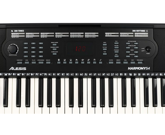 Синтезатор ALESIS HARMONY 54