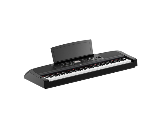 Синтезатор Yamaha DGX-670 Black