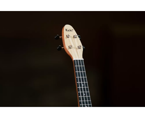 Укулеле сопрано Meinl Keiki Ukulele Pack K2-MAP