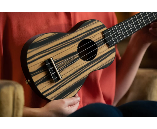 Укулеле сопрано (комплект) Meinl Keiki Ukulele Pack K3-WEB