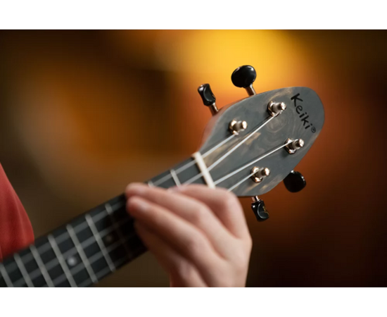 Укулеле сопрано (комплект) Meinl Keiki Ukulele Pack K3-WEB