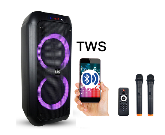 Автономная акустическая система BIG JB500PARTY BOX
