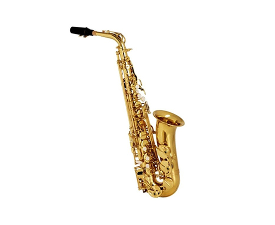 Саксофон сопрано Eurofon EY1101S - 69154 за 0 грн. | 4Club