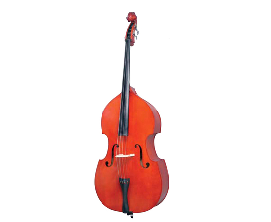 Контрабас MAXTONE DBV100 3/4 - 43311 за 44147 грн. | 4Club