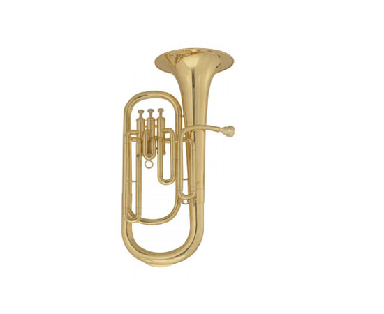 Баритон помповый MAXTONE TBC53L2 (TBC96L) - 43182 за 28131 грн. | 4Club