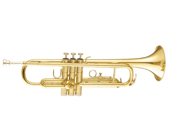 Труба MAXTONE TTC30L (TTC1C) - 43223 за 10512 грн. | 4Club