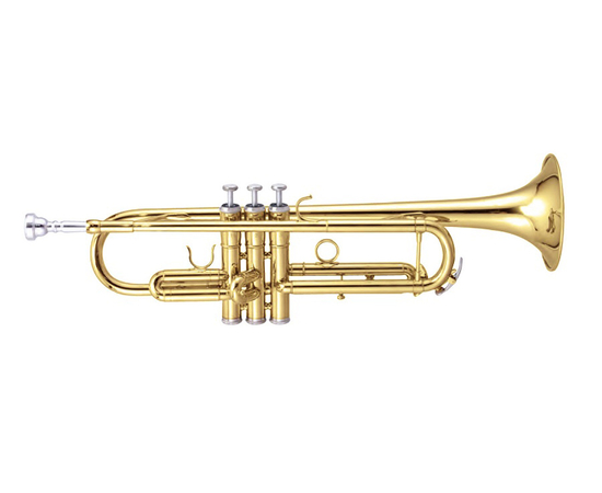 Труба MAXTONE TTC60L2 (TTC234L) - 43225 за 10436 грн. | 4Club