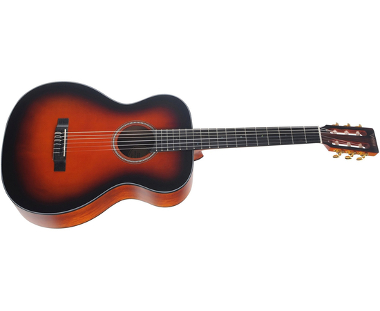 Классическая гитара VALENCIA VA434CSB