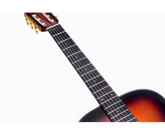 Классическая гитара VALENCIA VA434CSB