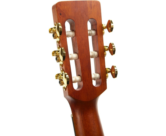 Классическая гитара VALENCIA VA434VNA