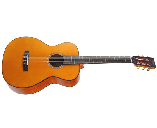 Классическая гитара VALENCIA VA434VNA