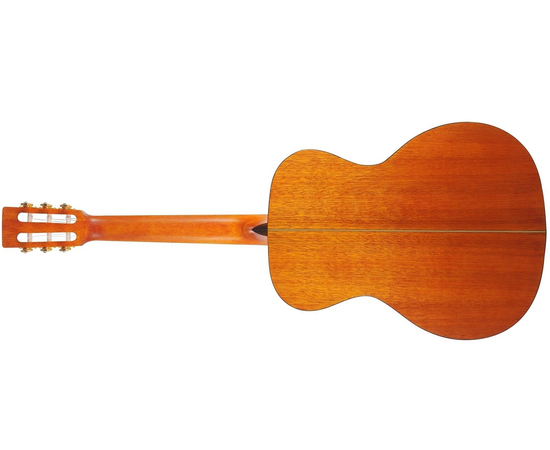 Классическая гитара VALENCIA VA434VNA