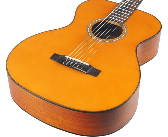 Классическая гитара VALENCIA VA434VNA